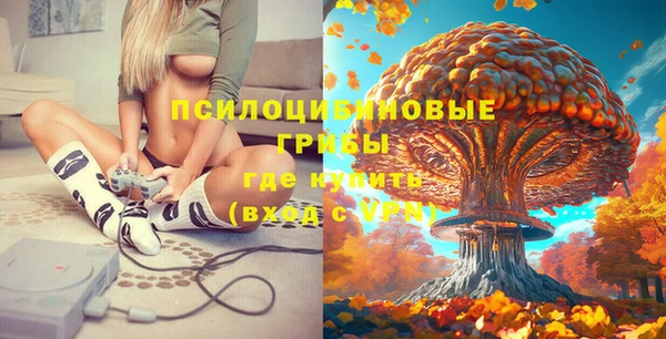 прущая мука Арсеньев