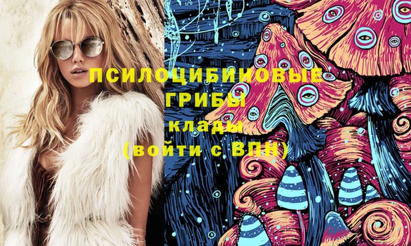 прущая мука Арсеньев
