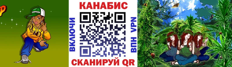 Шишки марихуана White Widow  цены   Сурск 